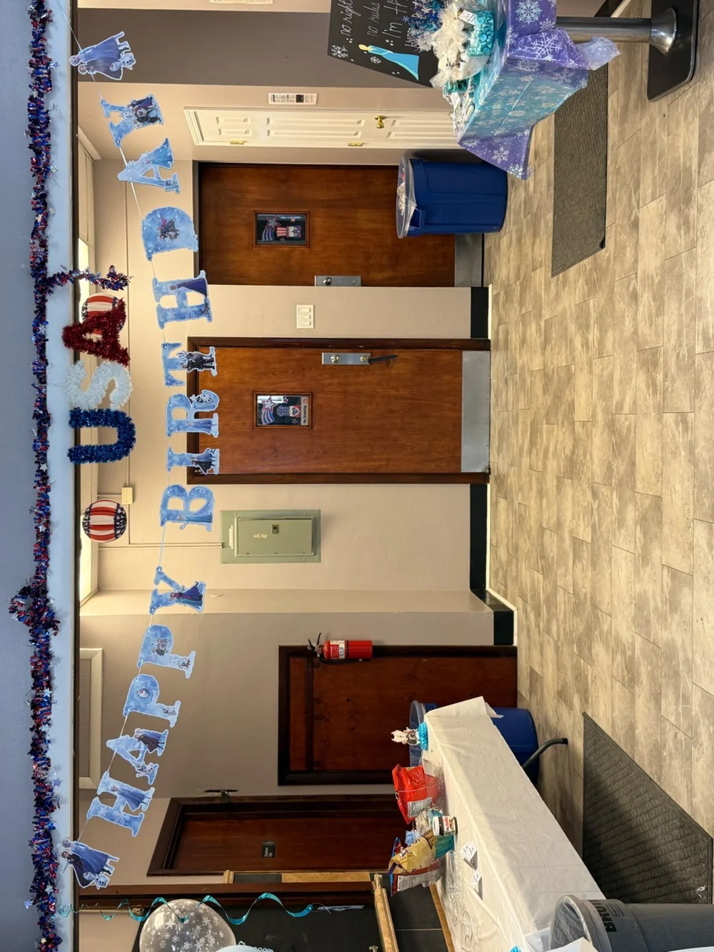Frozen Party Decorations